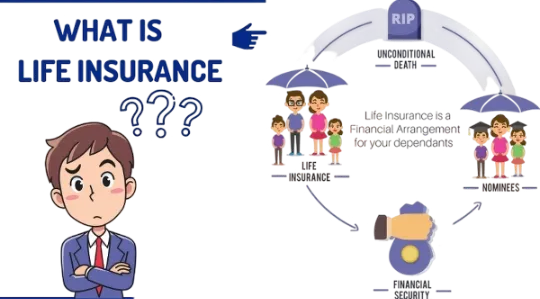 LIC Neemuch Insurance Solutions