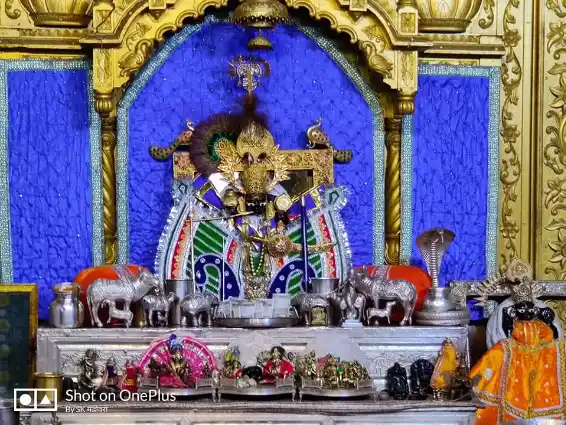 Sanwaliya Seth idol during puja